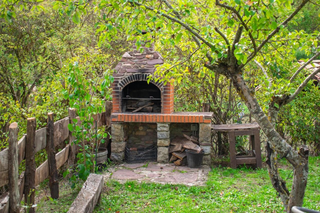 Casa Monaut, Acogedores Apartamentos A Los Pies De La Selva De Irati Saragueta Zewnętrze zdjęcie